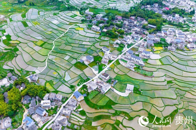 �����F��л�Ϫ�^(q��)��������������Wӛ�� Ϳ���z